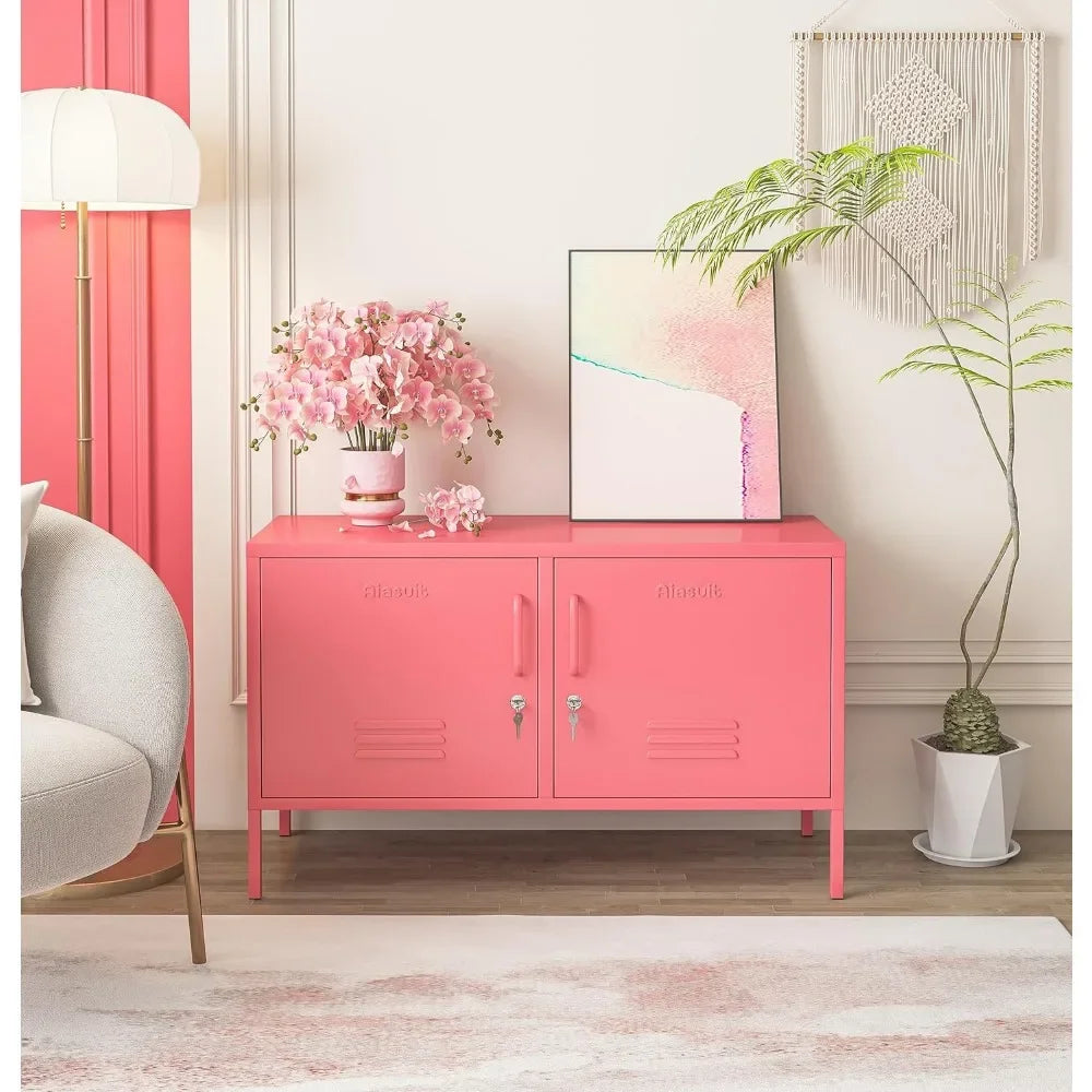 YQXH 2 Doors Metal Storage Cabinet Multifunction lockers Modern TV Stand Large Space Adjustable Bedroom Locker
