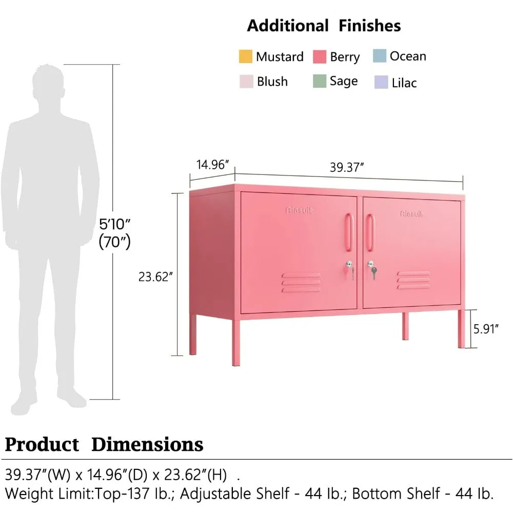 YQXH 2 Doors Metal Storage Cabinet Multifunction lockers Modern TV Stand Large Space Adjustable Bedroom Locker
