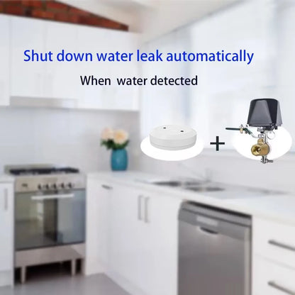 Tuya Zigbee Smart Gas Valve WIFI Garden Water Shut Off Timer Irrigation Controller with Alexa Google Assistant SmartLife